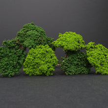 Charger l'image dans la galerie, Modèles réduits d'arbres naturels VERT pour circuits 1/32 > 1/24 de RAS
