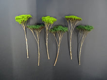 Charger l'image dans la galerie, Modèles réduits d'arbres naturels VERT pour circuits 1/32 > 1/24 de RAS